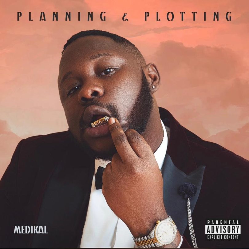 Medikal - Planning & Plotting