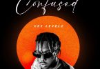 Cee Levelz - Confused