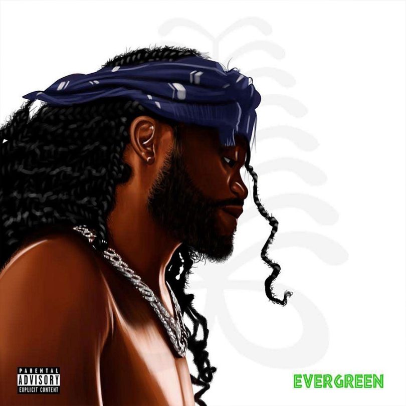 Ayisi - Evergreen