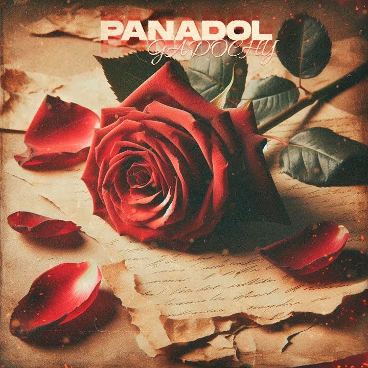 Gadochy - Panadol