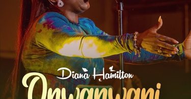 Diana Hamilton - Onwanwani (Wonder Working God) Live