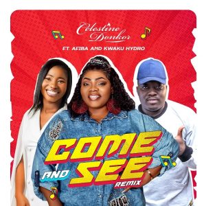 Celestine Donkor - Come And See (Remix) Ft. Afiba & Kweku Hydro