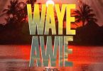 Kweku Darlington - Waye Awie