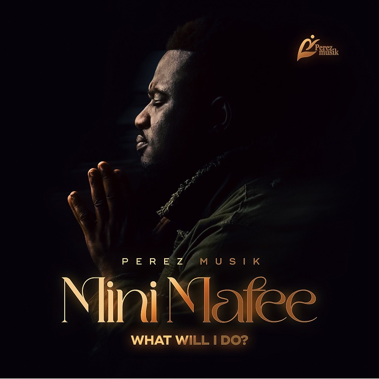 Perez Musik - Mini Mafee (What Will I Do)