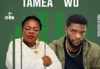 Artise Maame - Tamea Wu Ft Ogidi Brown