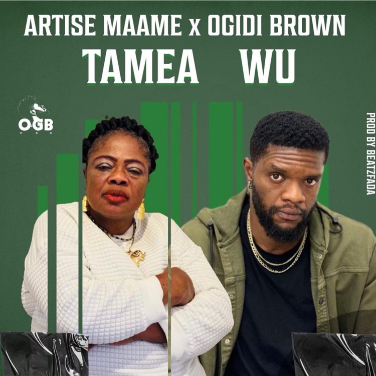 Artise Maame - Tamea Wu Ft Ogidi Brown