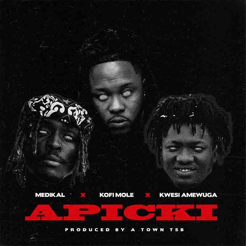 Medikal - Apicki Ft. Kwesi Amewuga & Kofi Mole