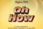 Skyface SDW - Oh How ft. Beeztrap KOTM, Kweku Smoke, Jay Bahd & Kwaku DMC